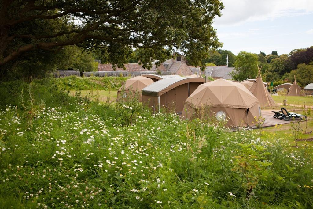 ホテル Durrell Wildlife Camp トリニティ 部屋 写真