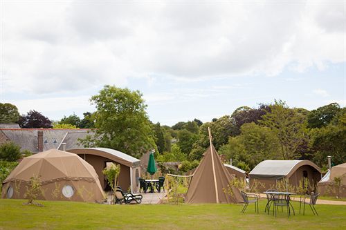 ホテル Durrell Wildlife Camp トリニティ エクステリア 写真