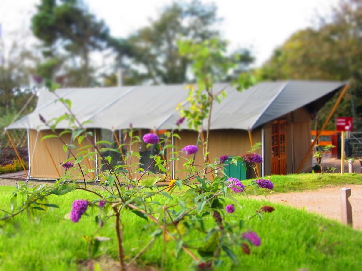 ホテル Durrell Wildlife Camp トリニティ エクステリア 写真